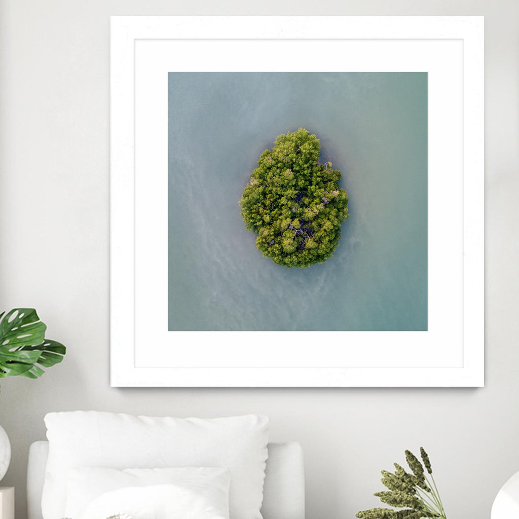 Lonely Island by Pexels on GIANT ART - green sea scene
