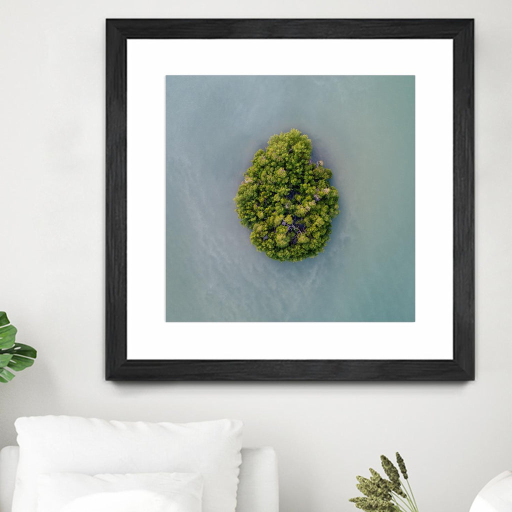 Lonely Island par Pexels sur GIANT ART - scène de mer verte