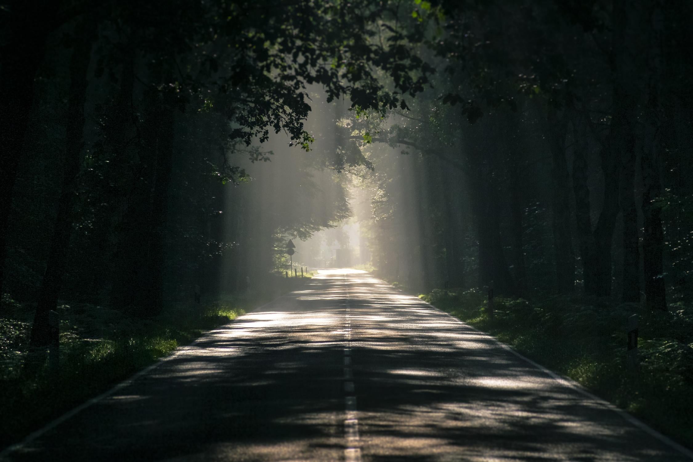 Welcome to heaven par Pexels sur GIANT ART - paysage vert