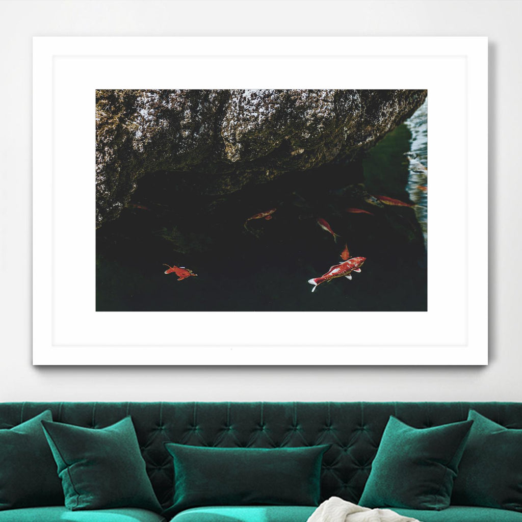 Hiding Koi by Pexels on GIANT ART - orange animals