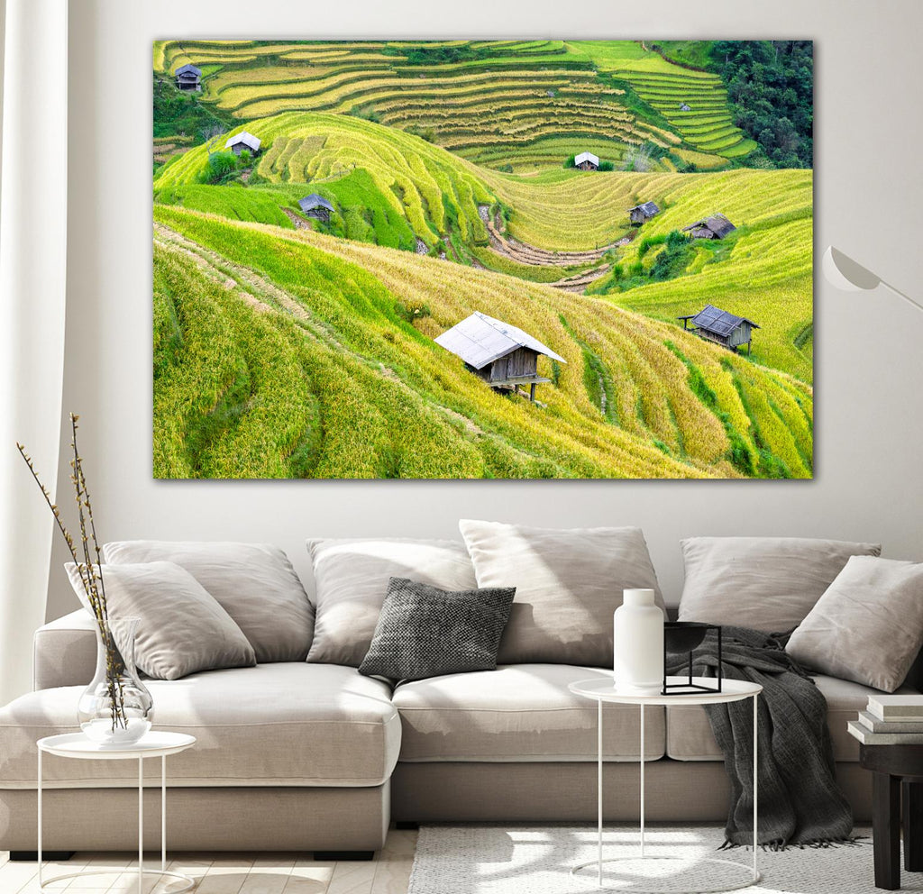 Paddy field valley par Pexels sur GIANT ART - paysage jaune