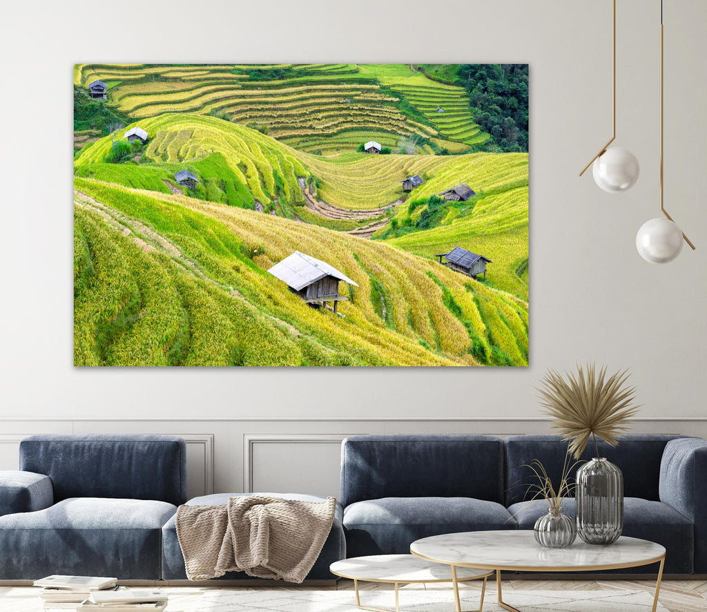 Paddy field valley par Pexels sur GIANT ART - paysage jaune