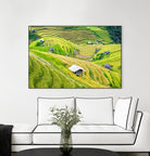 Paddy field valley by Pexels on GIANT ART - yellow landscape