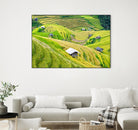 Paddy field valley by Pexels on GIANT ART - yellow landscape