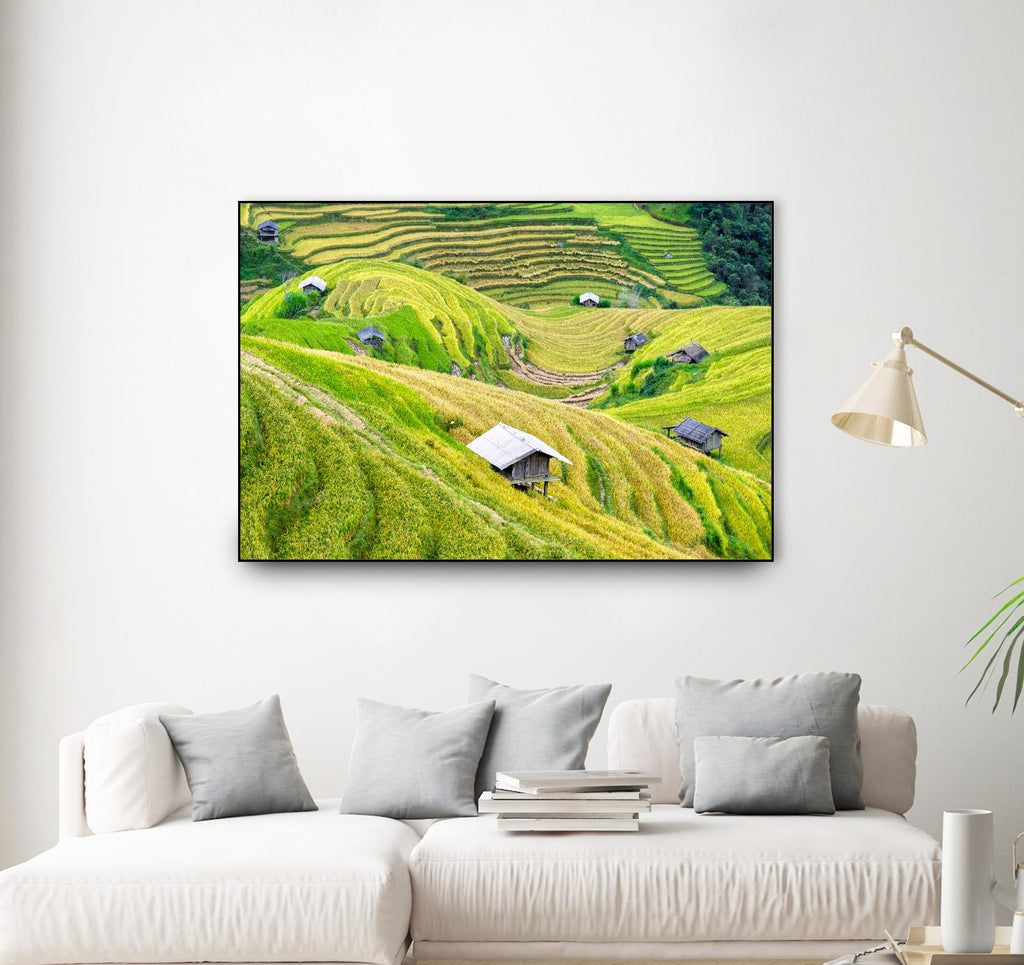Paddy field valley by Pexels on GIANT ART - yellow landscape