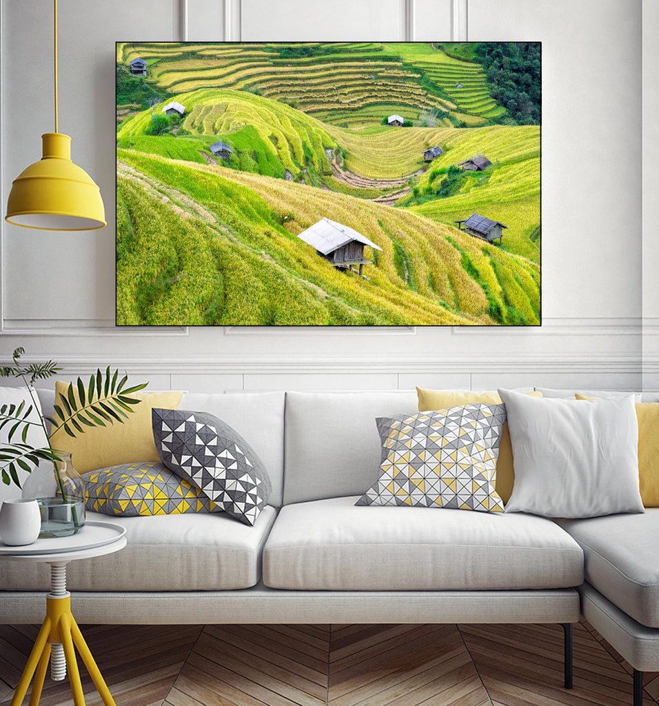Paddy field valley by Pexels on GIANT ART - yellow landscape
