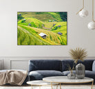 Paddy field valley by Pexels on GIANT ART - yellow landscape