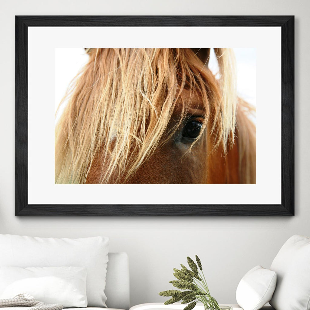 Horsey par Pexels sur GIANT ART - animaux blancs