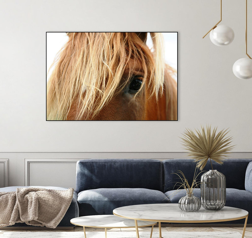 Horsey par Pexels sur GIANT ART - animaux blancs