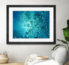 Bubbles by Pexels on GIANT ART - white sea scene bubbles in water