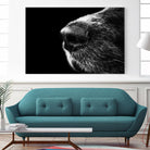 Dog nose by Pexels on GIANT ART - white animals