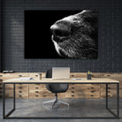 Dog nose by Pexels on GIANT ART - white animals