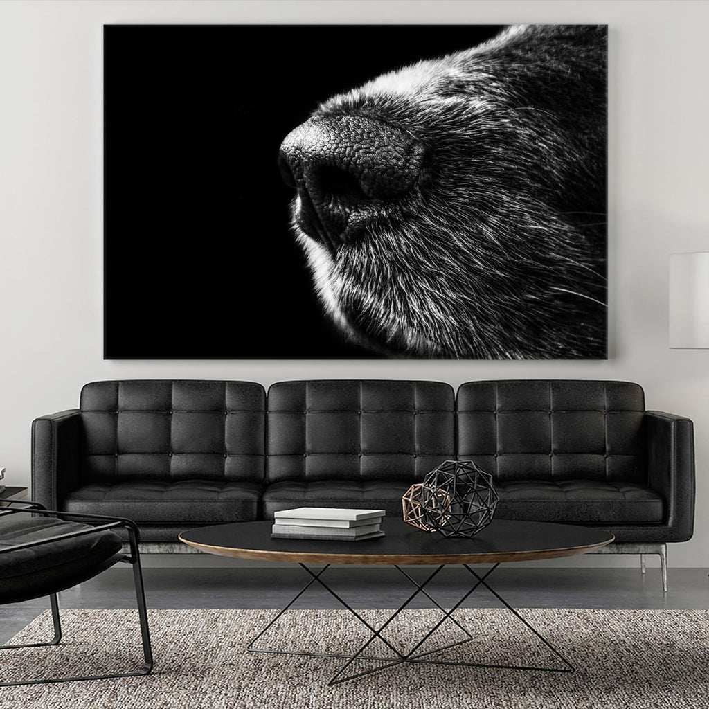 Dog nose by Pexels on GIANT ART - white animals