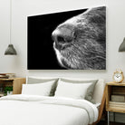 Dog nose by Pexels on GIANT ART - white animals