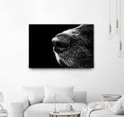 Dog nose by Pexels on GIANT ART - white animals