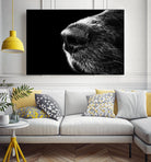 Dog nose by Pexels on GIANT ART - white animals