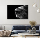 Dog nose by Pexels on GIANT ART - white animals