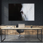 Marguerite by Pexels on GIANT ART - white animals