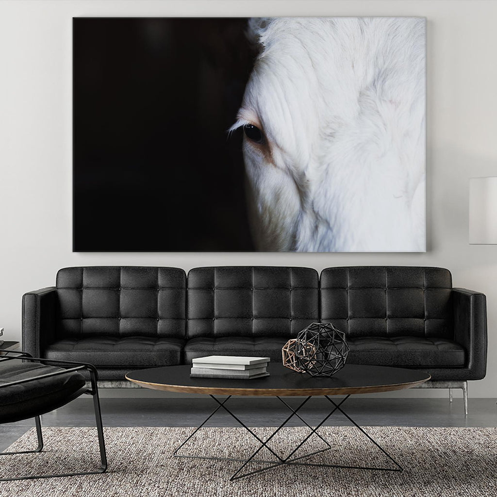 Marguerite by Pexels on GIANT ART - white animals