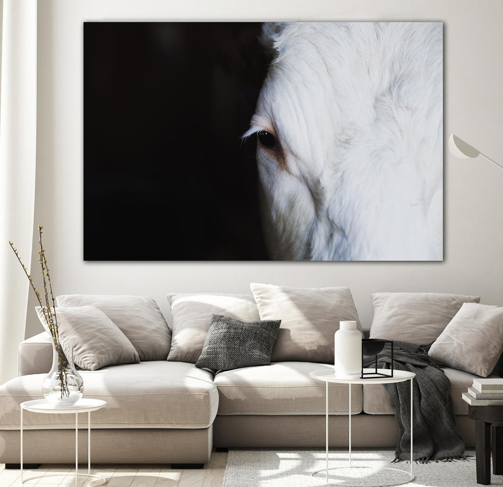 Marguerite par Pexels sur GIANT ART - animaux blancs