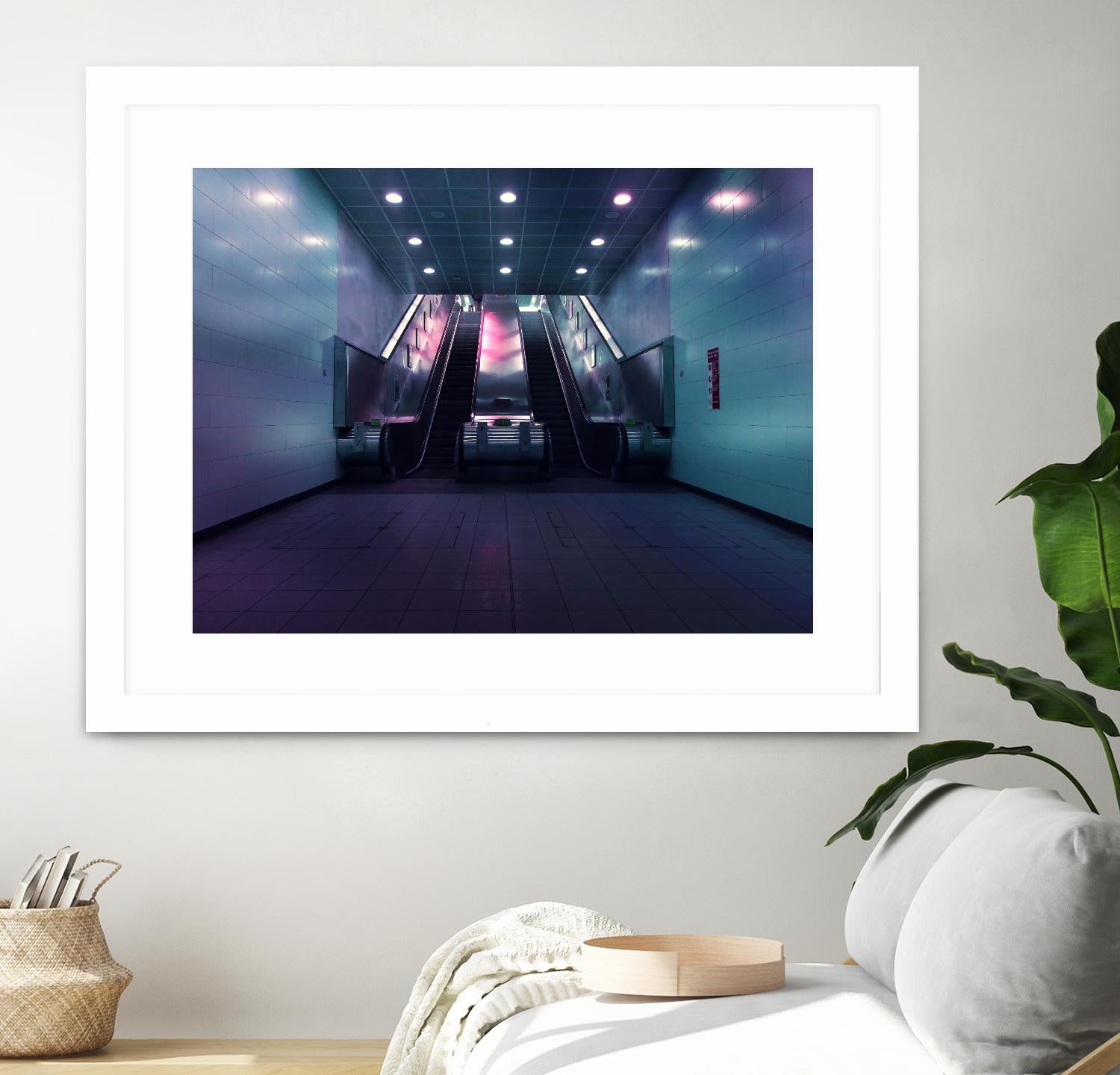 Up or down by Pexels on GIANT ART - pink photo art