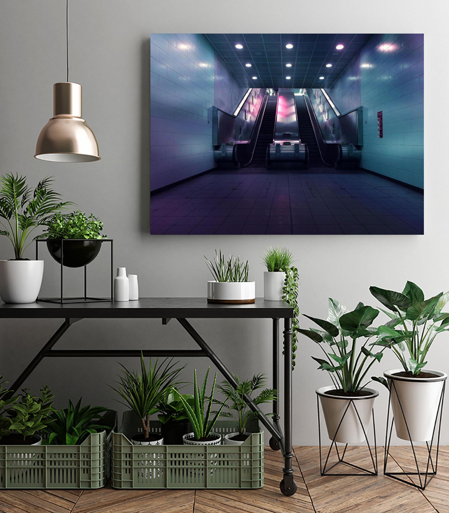 Up or down by Pexels on GIANT ART - pink photo art