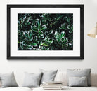 Colored leaves by Pexels on GIANT ART - white botany