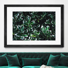 Colored leaves by Pexels on GIANT ART - white botany