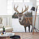 Deer by Pexels on GIANT ART - white animals