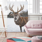 Deer by Pexels on GIANT ART - white animals