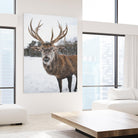 Deer by Pexels on GIANT ART - white animals