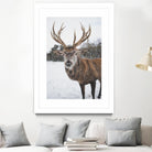 Deer by Pexels on GIANT ART - white animals