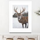 Deer by Pexels on GIANT ART - white animals