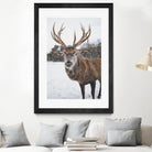 Deer by Pexels on GIANT ART - white animals
