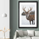 Deer by Pexels on GIANT ART - white animals