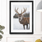 Deer by Pexels on GIANT ART - white animals