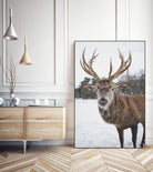 Deer by Pexels on GIANT ART - white animals