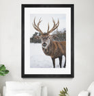 Deer by Pexels on GIANT ART - white animals
