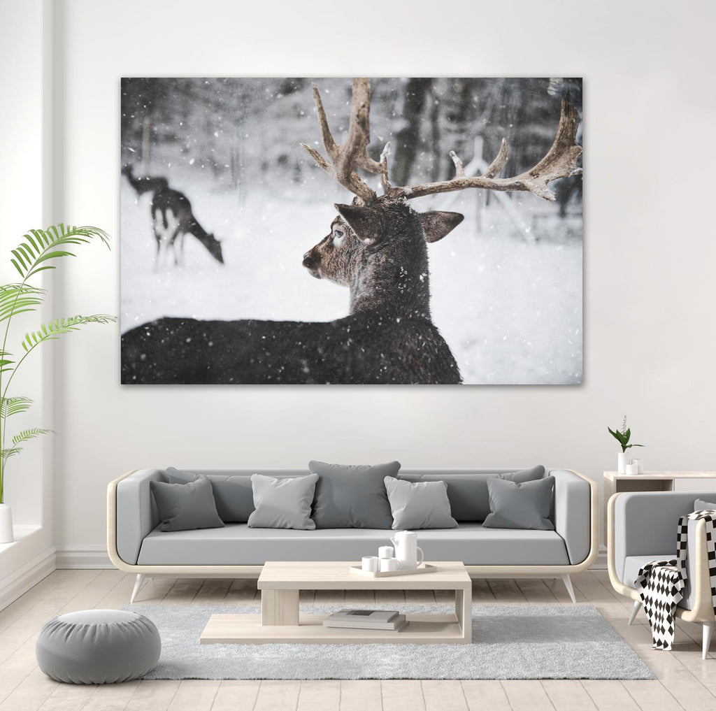 Deers by Pexels on GIANT ART - white animals