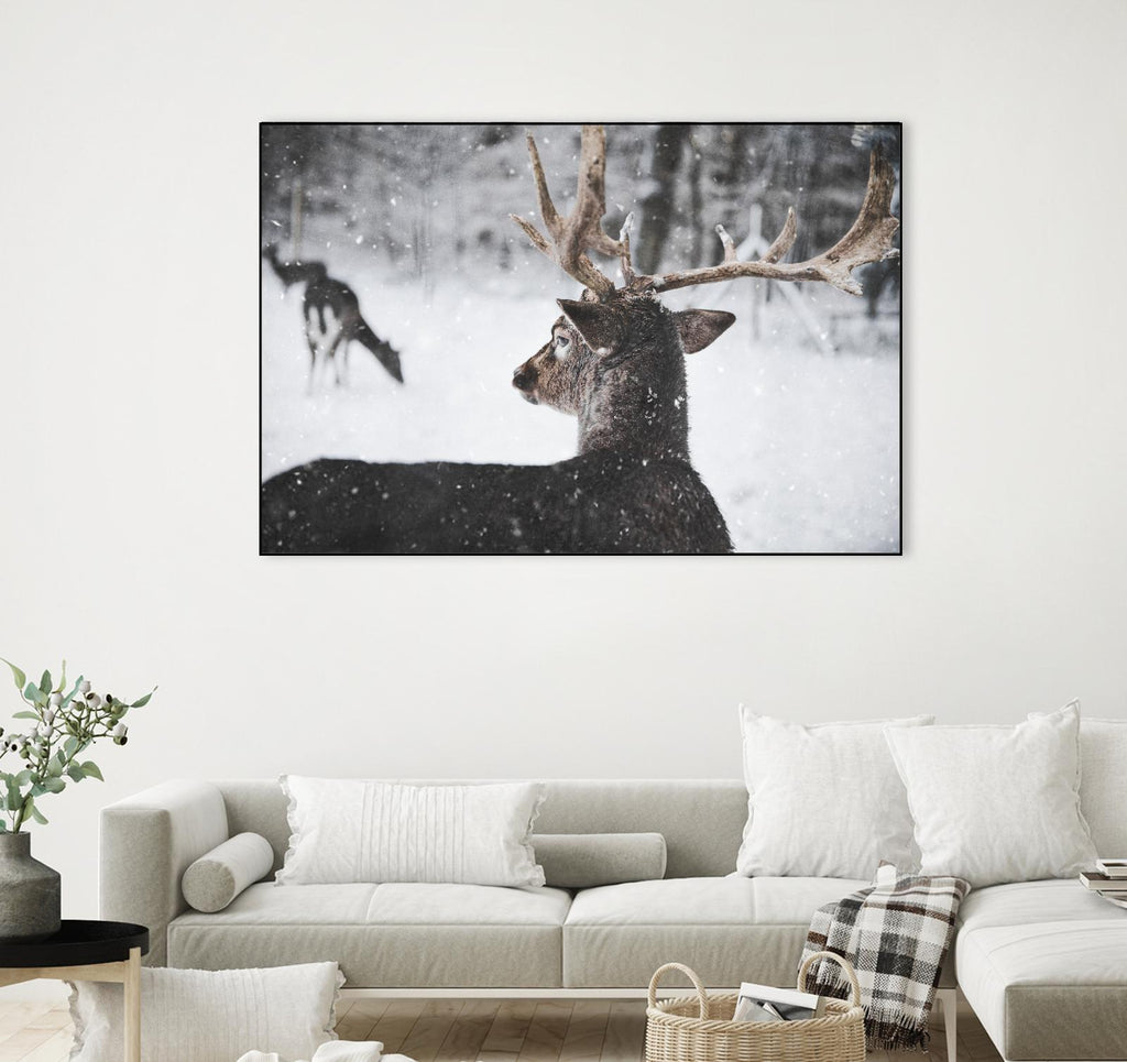 Deers by Pexels on GIANT ART - white animals