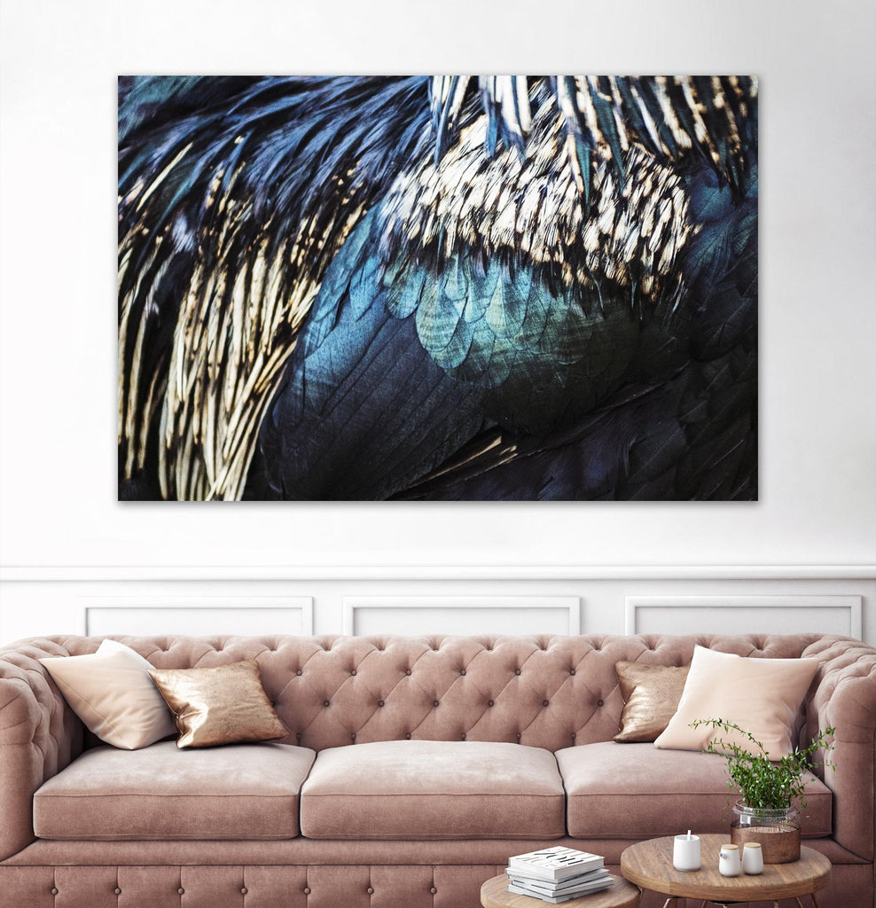 Blue feathers by Pexels on GIANT ART - white animals