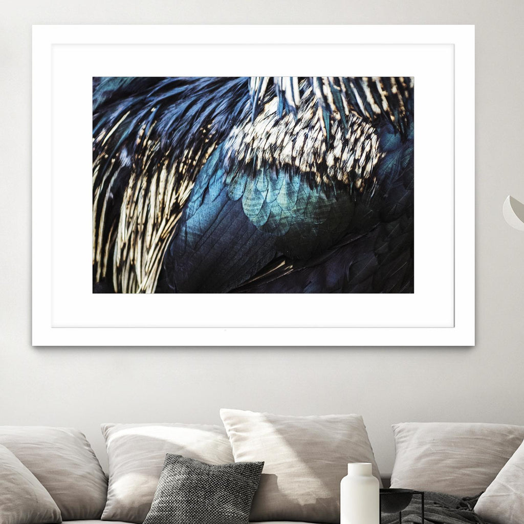 Blue feathers by Pexels on GIANT ART - white animals