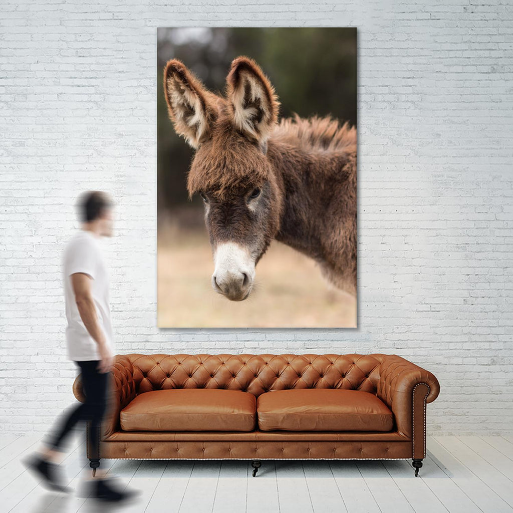 Donkey by Pexels on GIANT ART - white animals