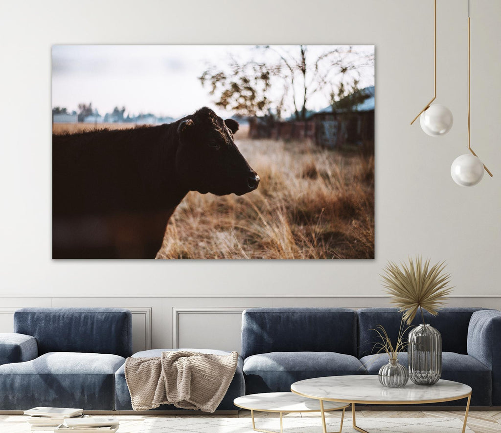 Cow by Pexels on GIANT ART - brown animals