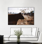 Cow by Pexels on GIANT ART - brown animals