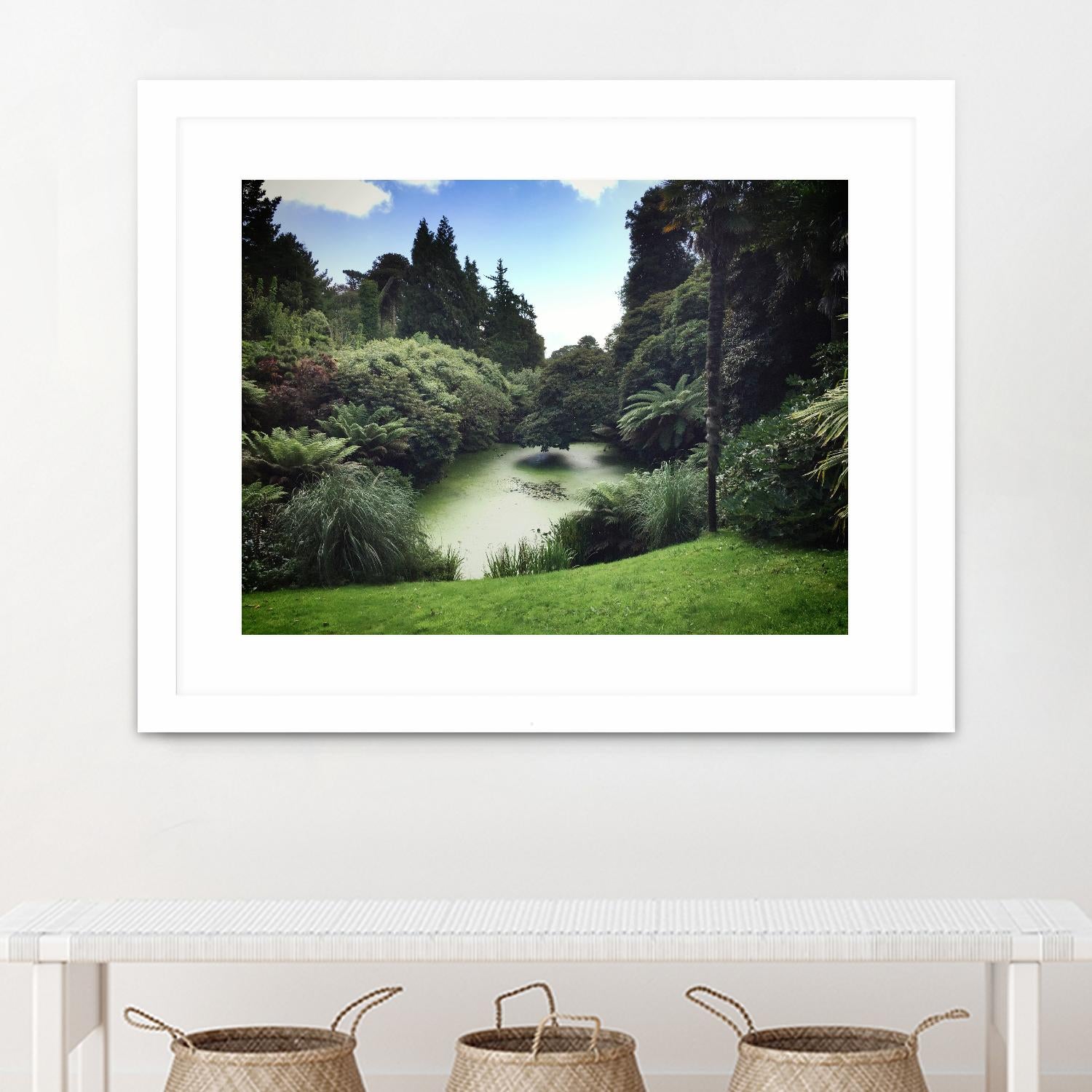 Swamp by Pexels on GIANT ART - green landscape