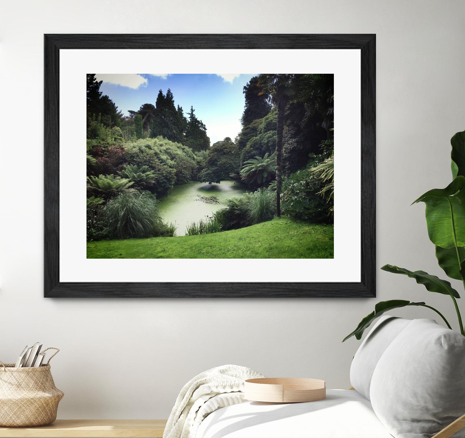 Swamp by Pexels on GIANT ART - green landscape