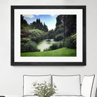 Swamp by Pexels on GIANT ART - green landscape