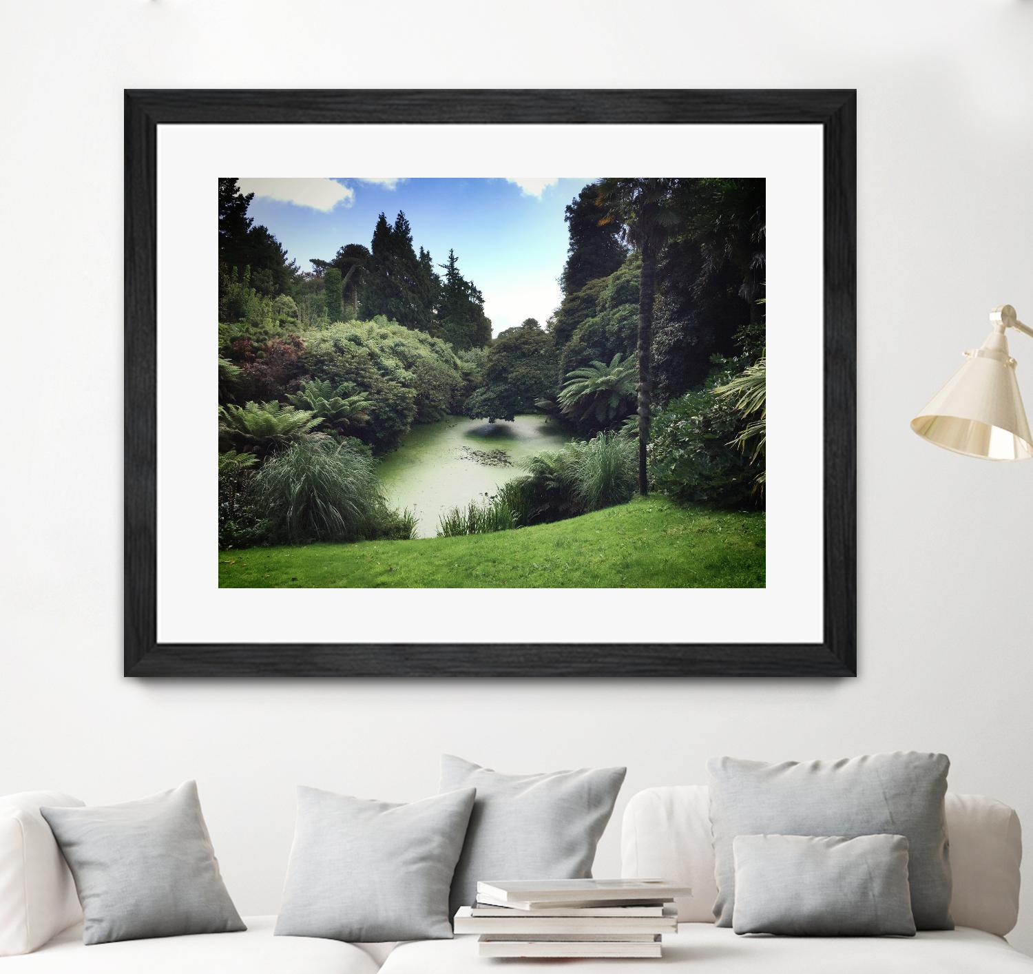 Swamp by Pexels on GIANT ART - green landscape