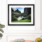 Swamp by Pexels on GIANT ART - green landscape